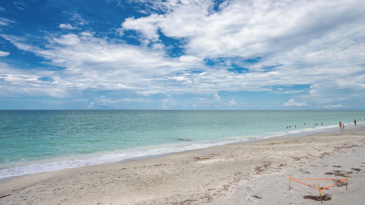 Photo of Others in Manasota Key