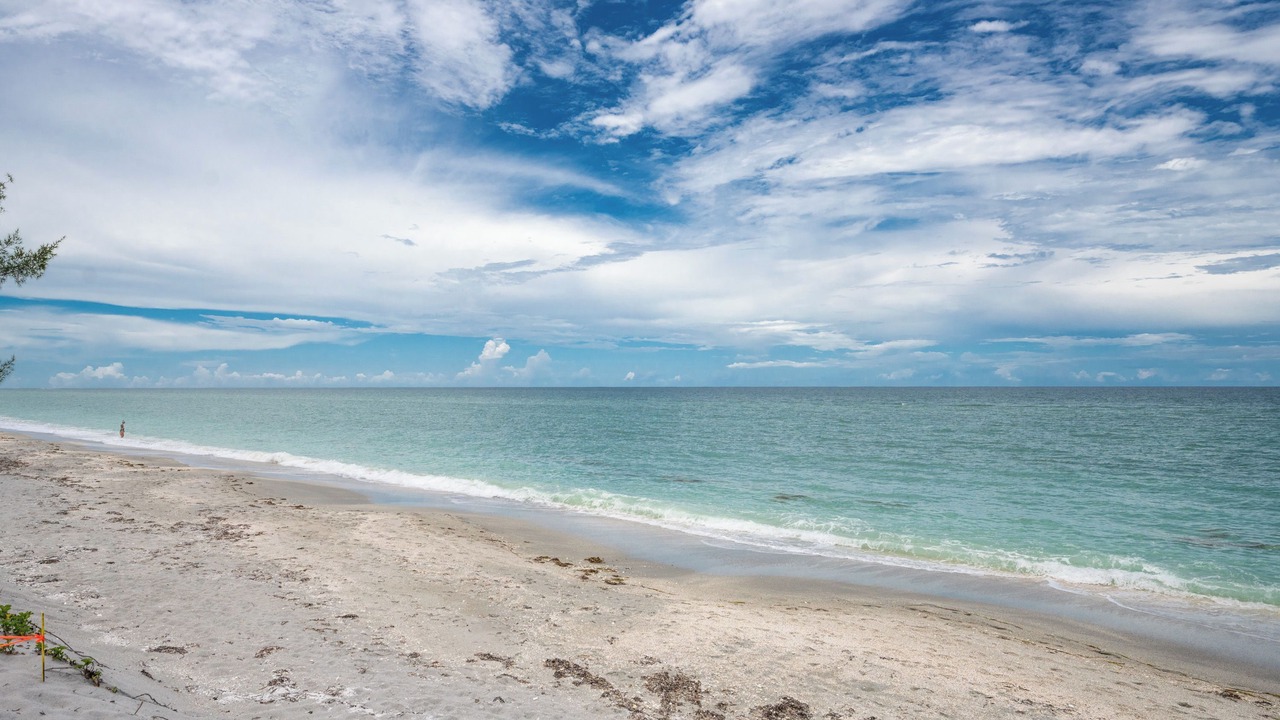 Photo of Others in Manasota Key