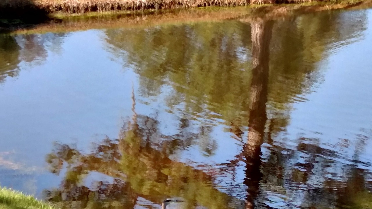 Photo of Others in The Meadows