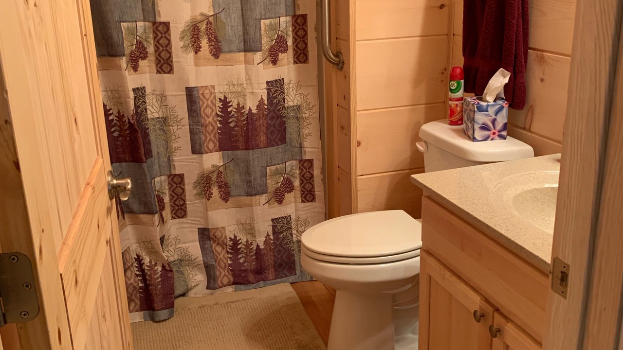 Photo of Bathroom in Saluda