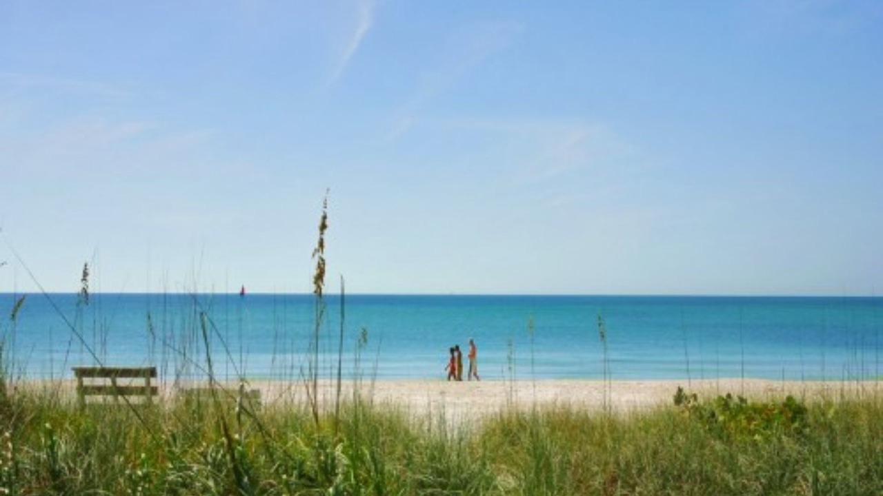 Photo of Others in Naples Park