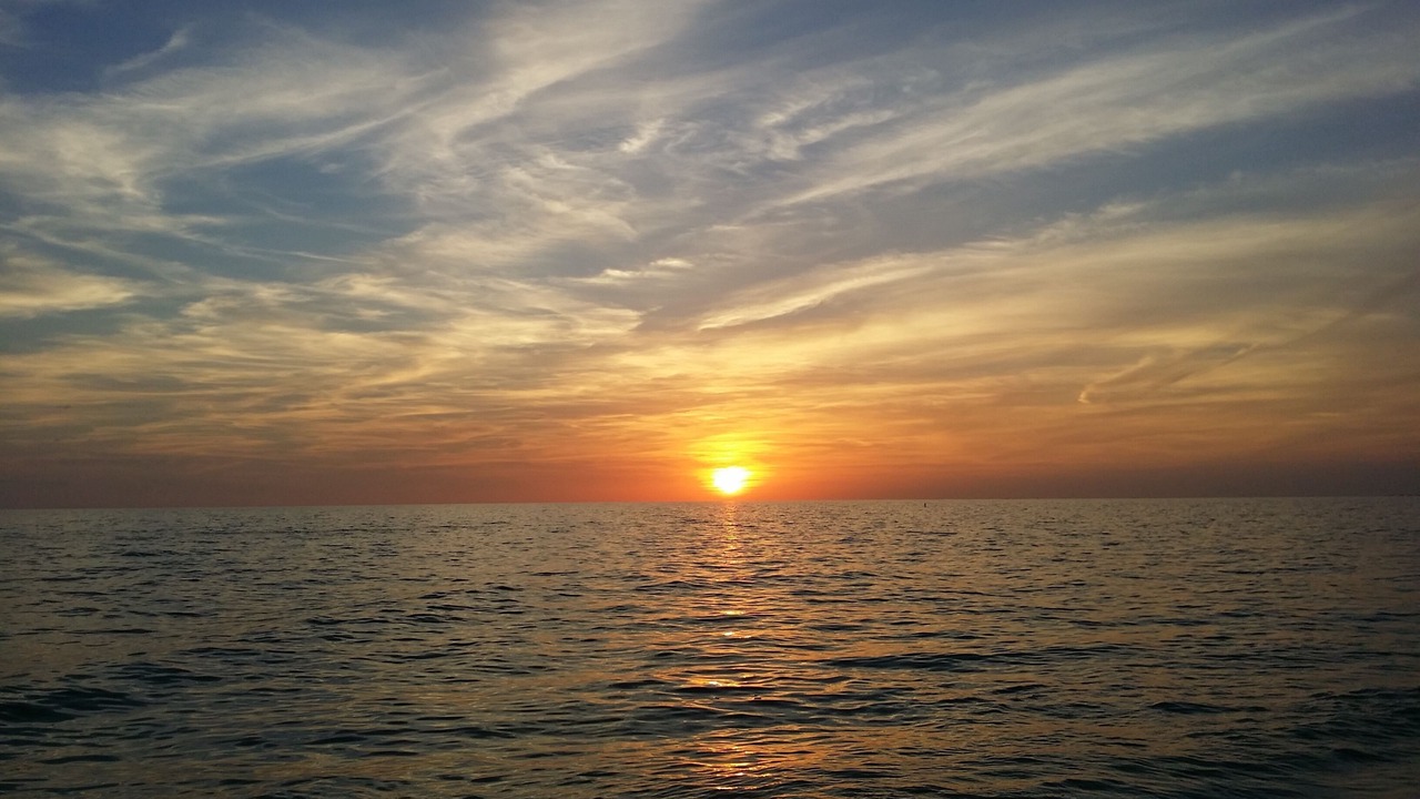 Photo of Others in Bonita Shores