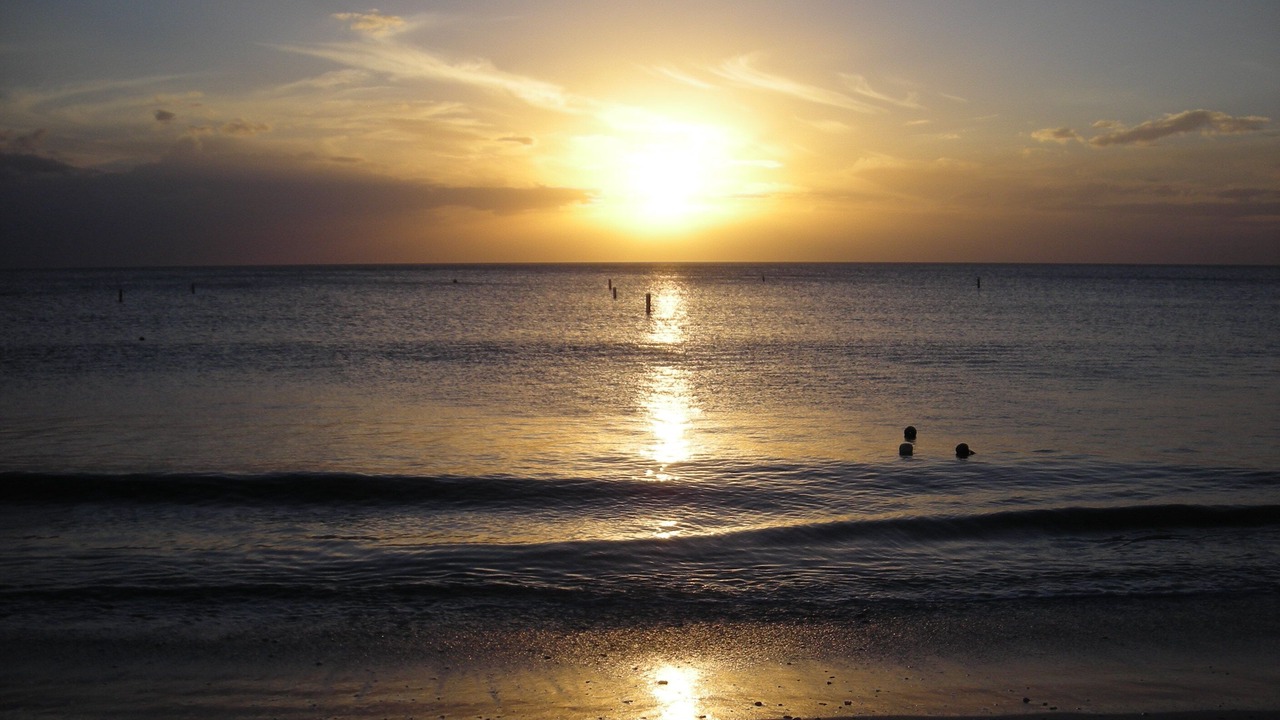 Photo of Others in Bonita Shores