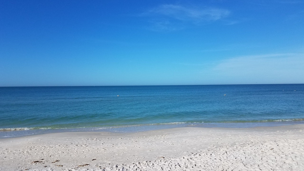 Photo of Others in Bonita Shores