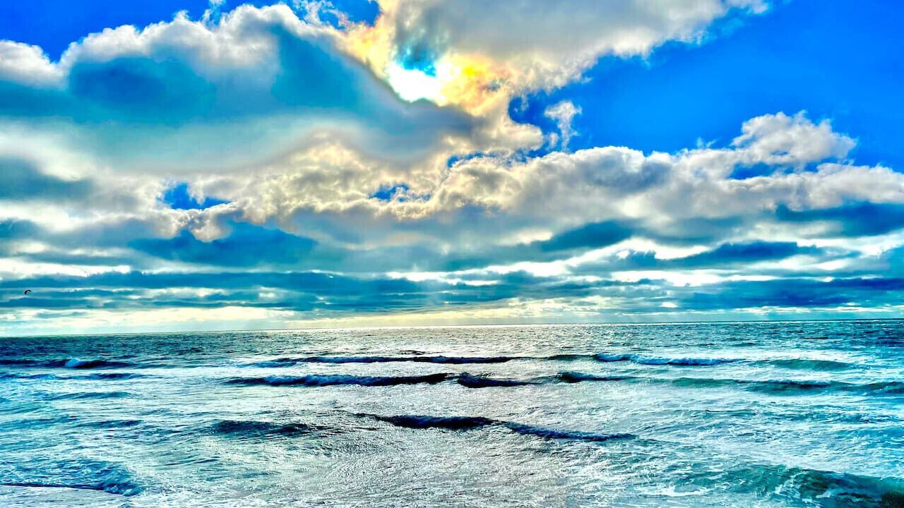 Photo of Others in Siesta Key