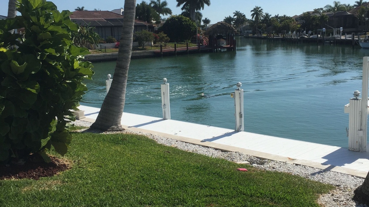Photo of Outdoor in Marco Island