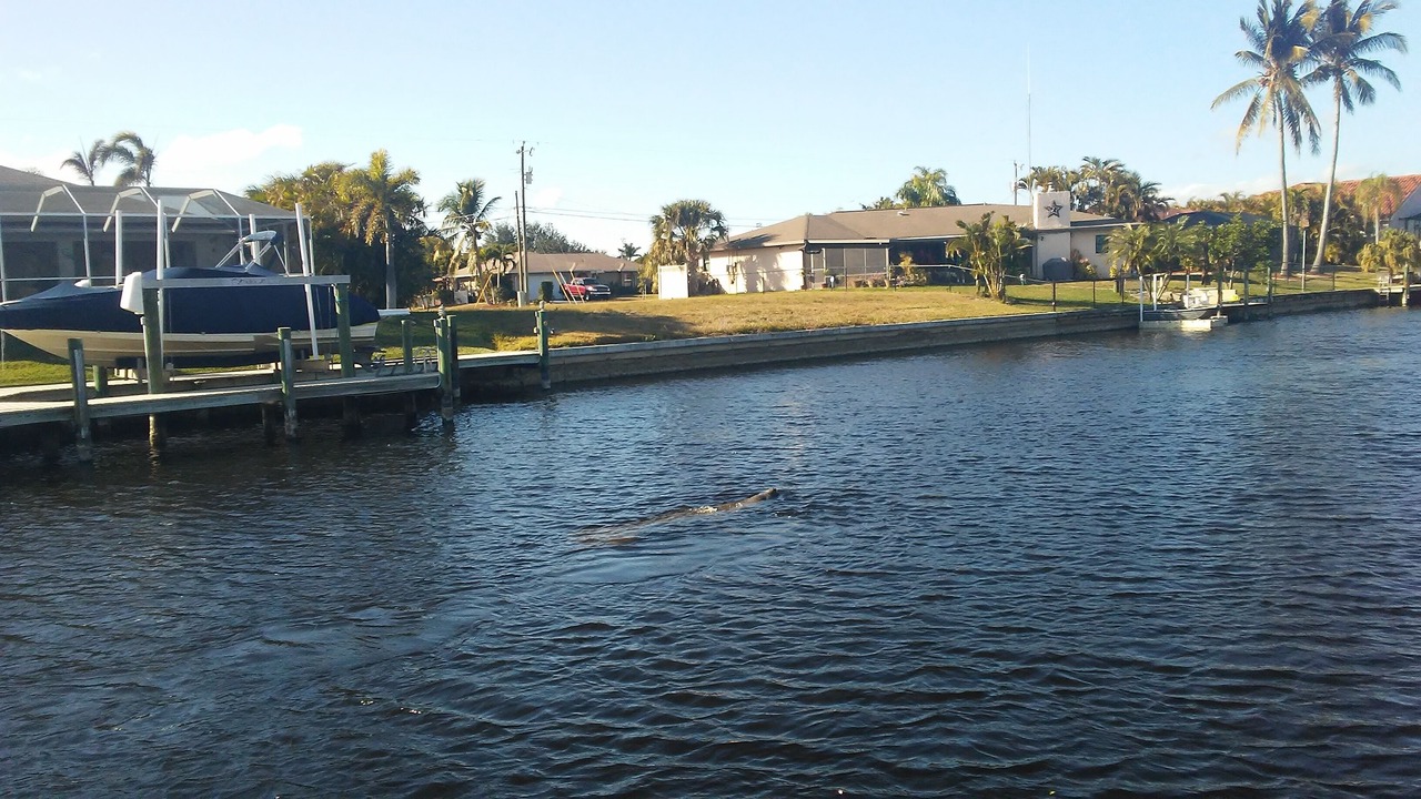 Photo of Outdoor in Pelican