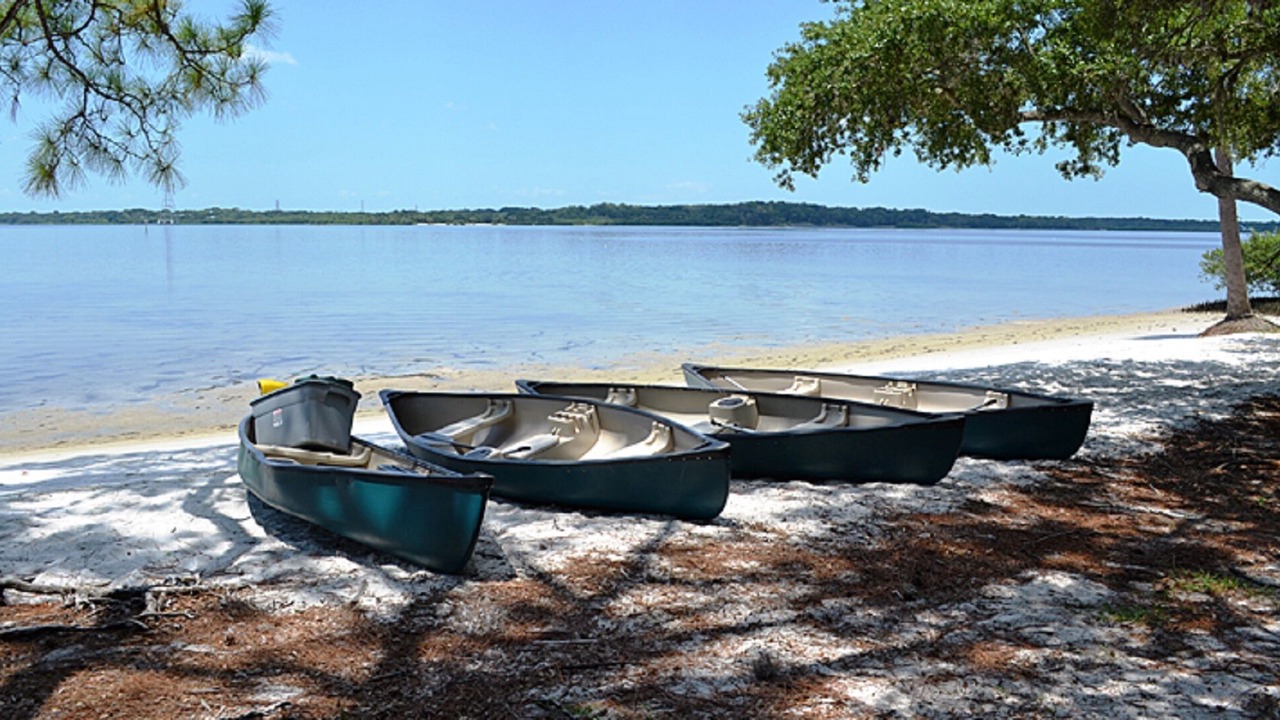 Photo of Others in Oldsmar