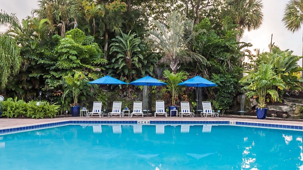 Photo of Outdoor in Park Shore