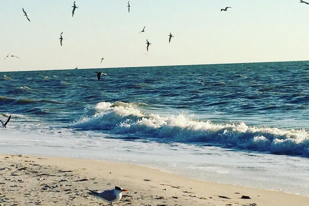 Photo of Others in Vanderbilt Beach