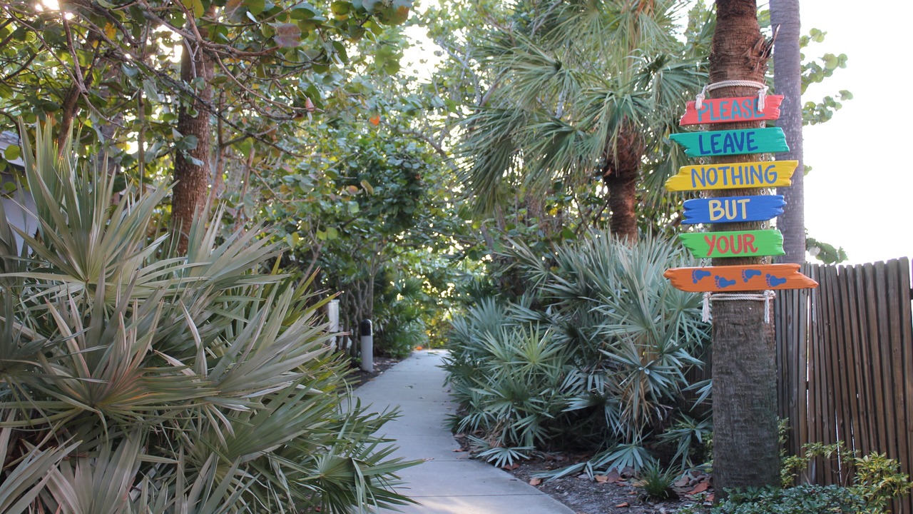 Photo of Others in Indian Rocks Beach