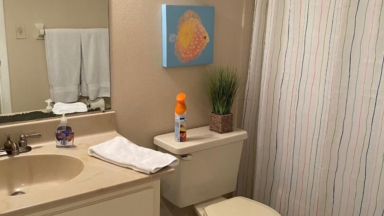 Photo of Bathroom in Indian Rocks Beach