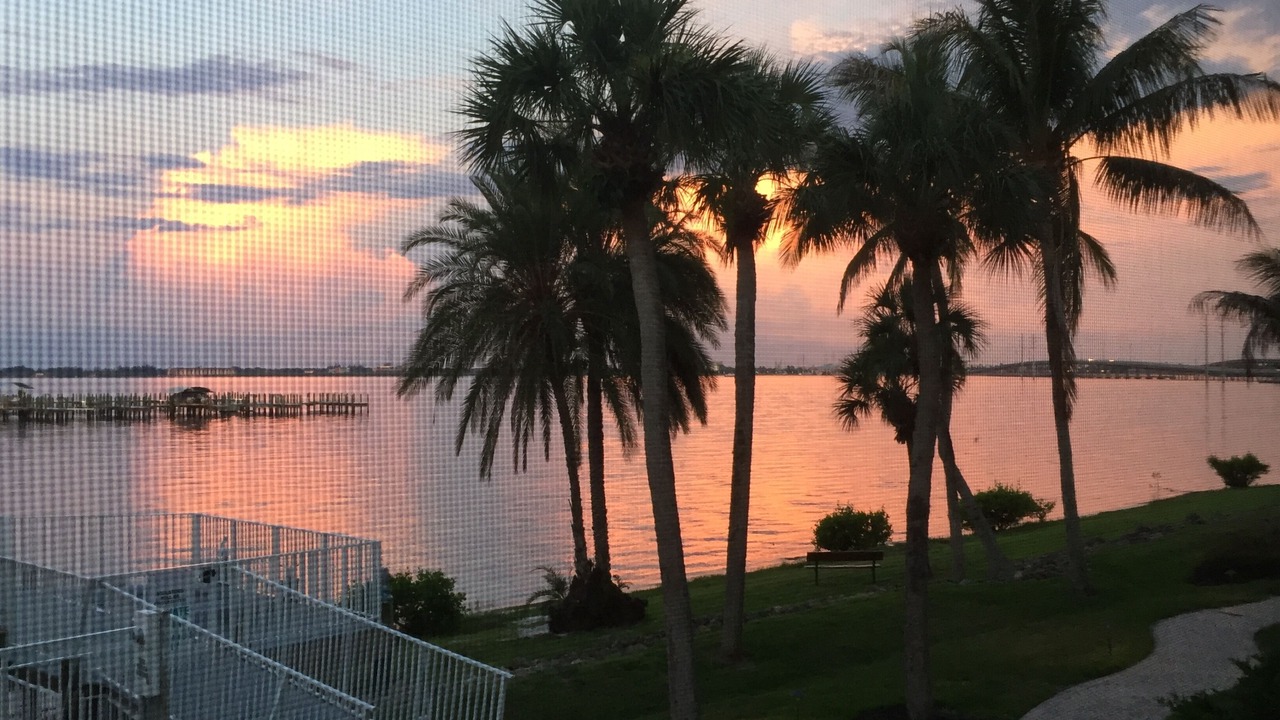 Photo of Outdoor in Charlotte Harbor