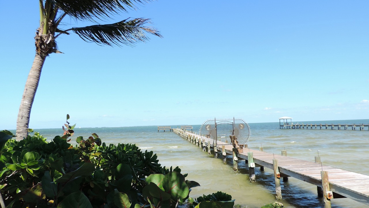 Photo of Others in Bokeelia