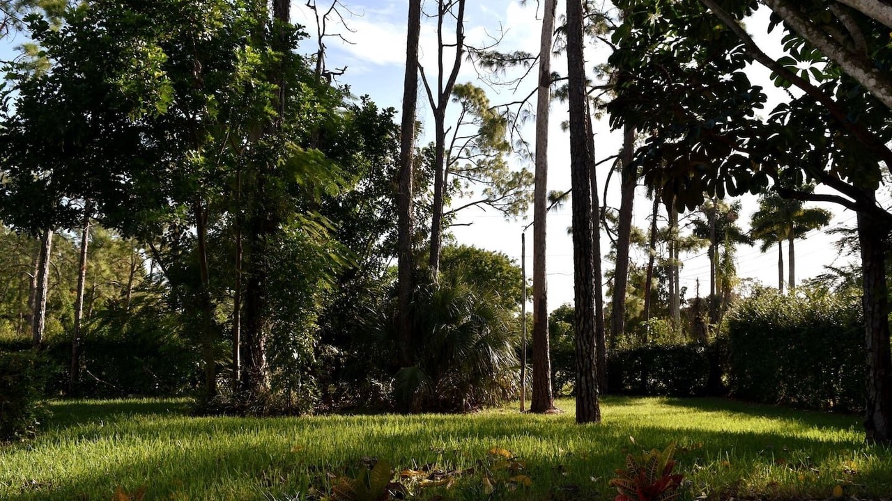 Photo of Outdoor in Naples