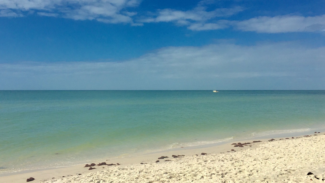 Photo of Others in Naples Park