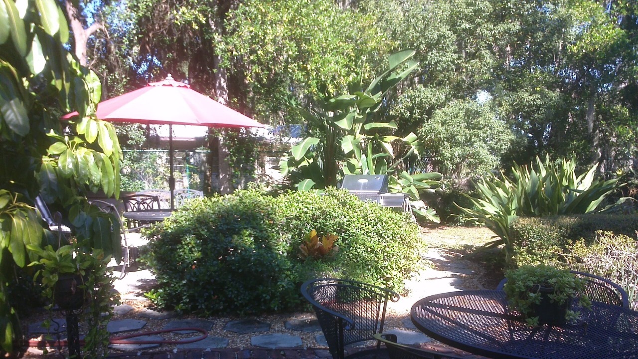 Photo of Outdoor in Safety Harbor