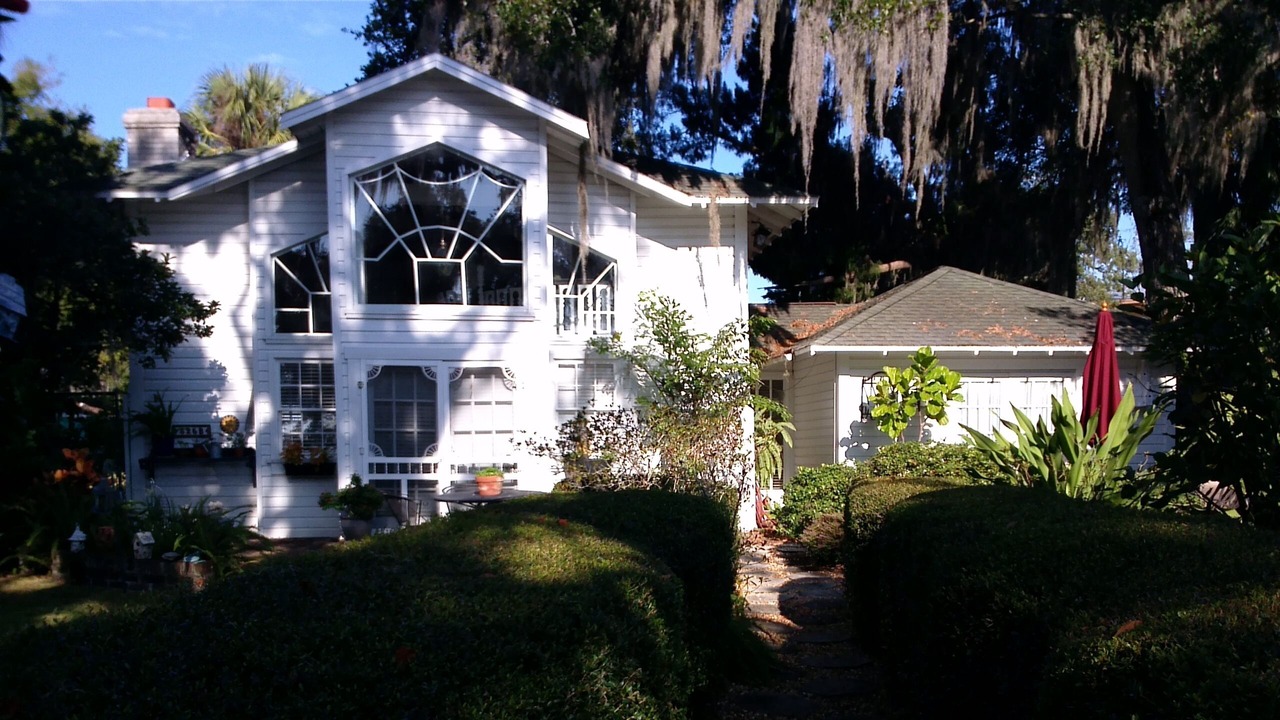Photo of Outdoor in Safety Harbor