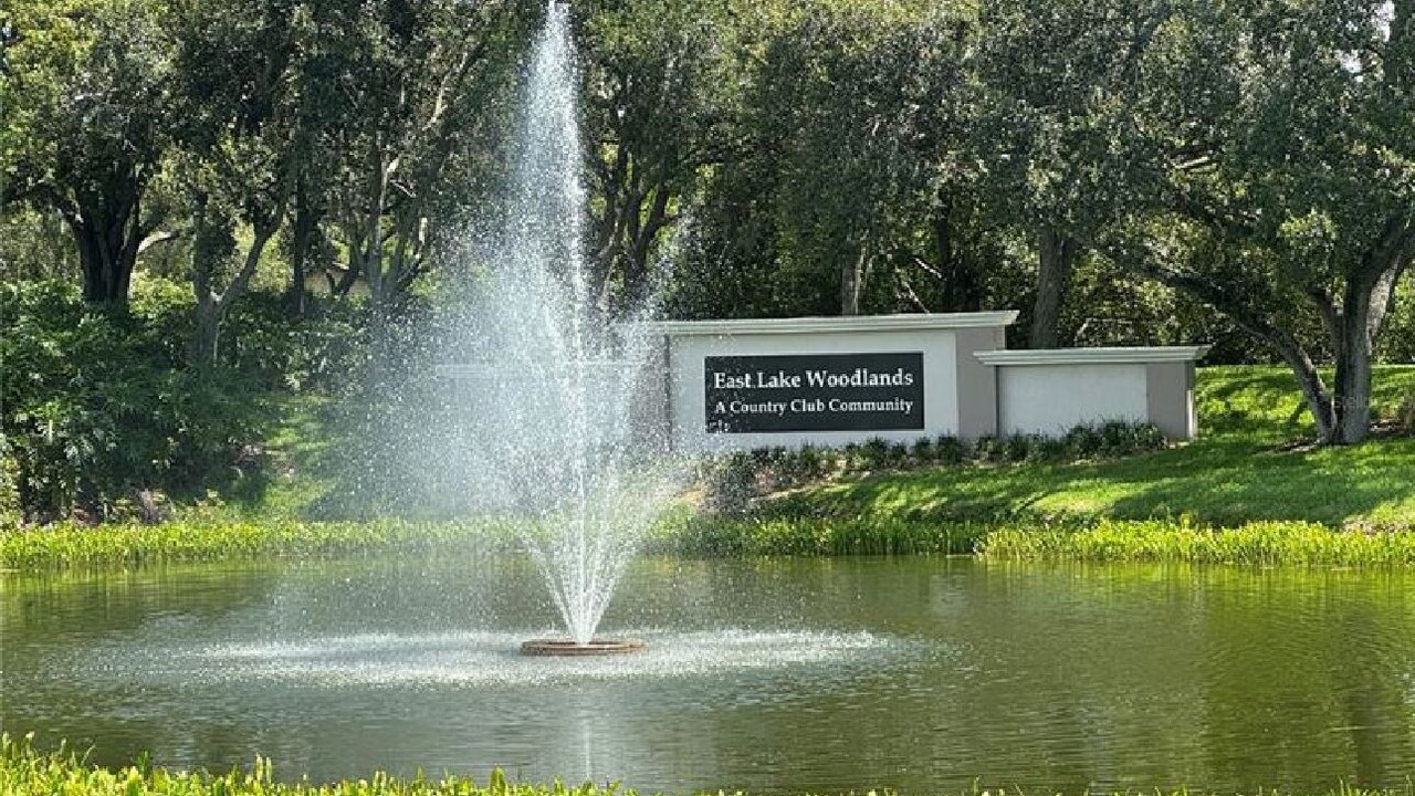 Photo of Outdoor in East Lake Woodlands