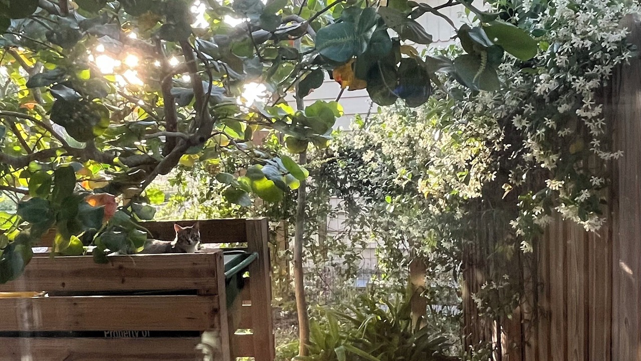 Photo of Outdoor in Downtown