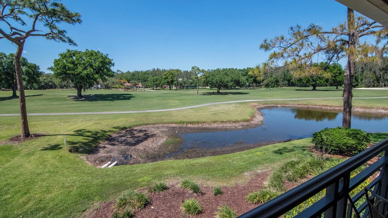 Photo of Outdoor in Wesley Chapel