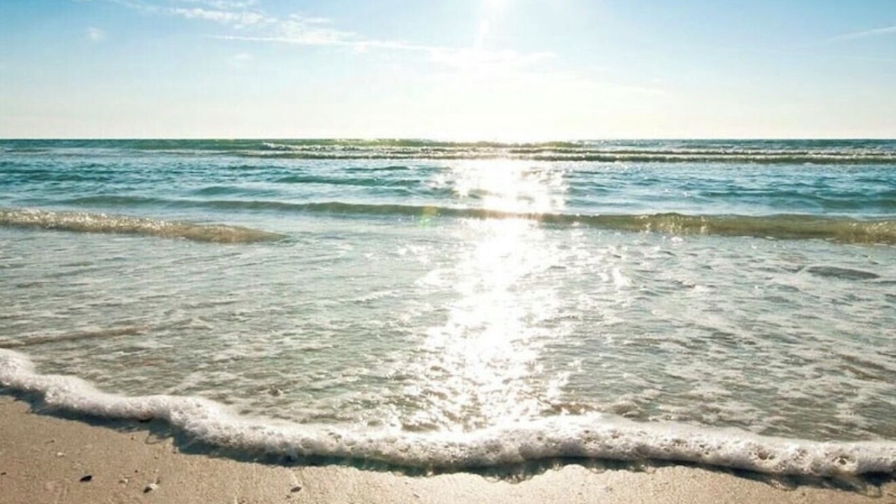 Photo of Others in Golden Beach