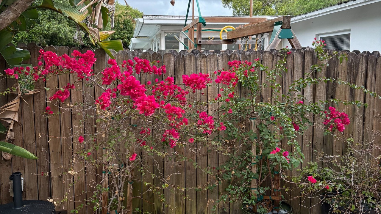 Photo of Outdoor in Palm Harbor
