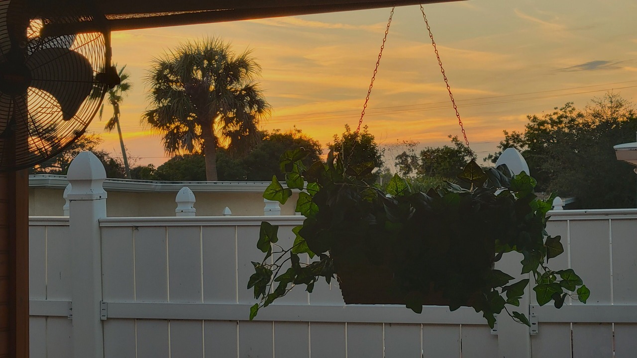 Photo of Outdoor in Bayshore Gardens