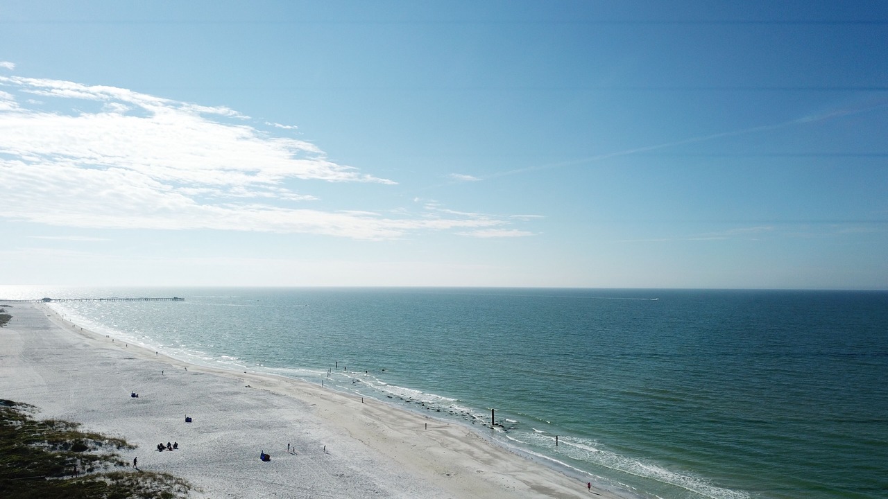 Photo of Others in Redington Shores