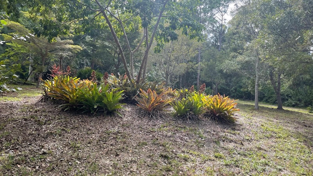 Photo of Outdoor in Saint James City