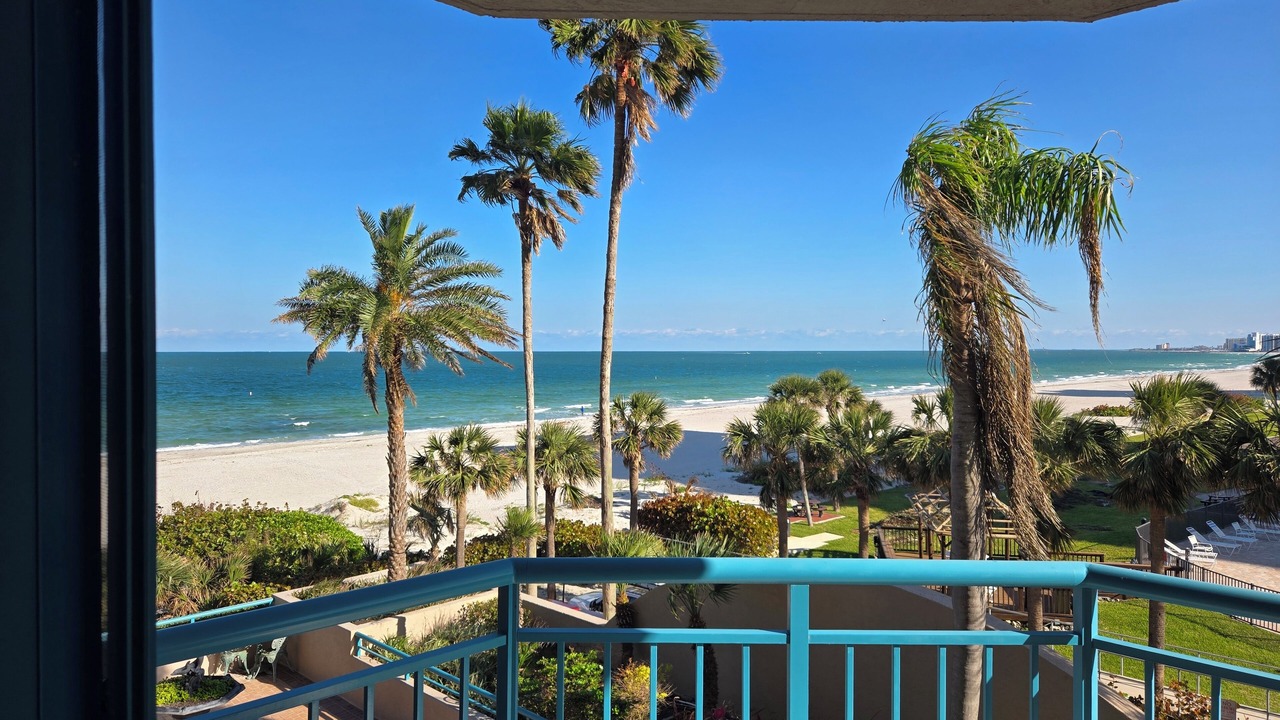 Photo of Outdoor in Sand Key