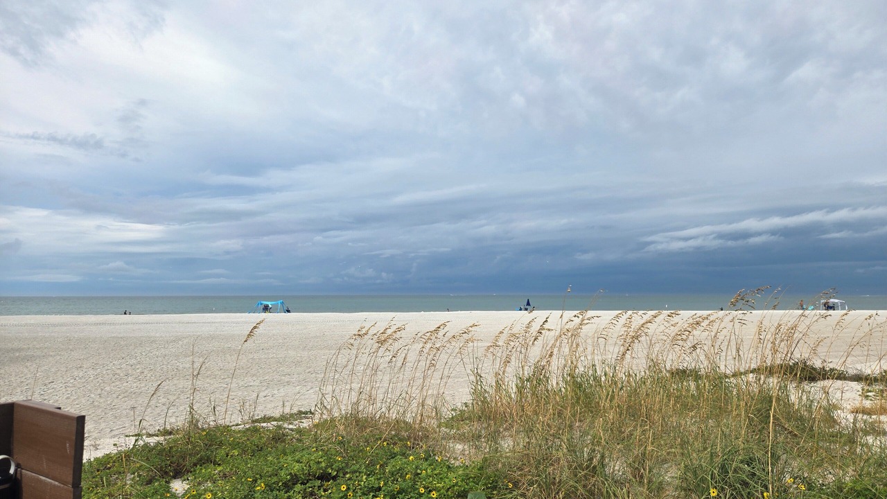 Photo of Others in Sand Key