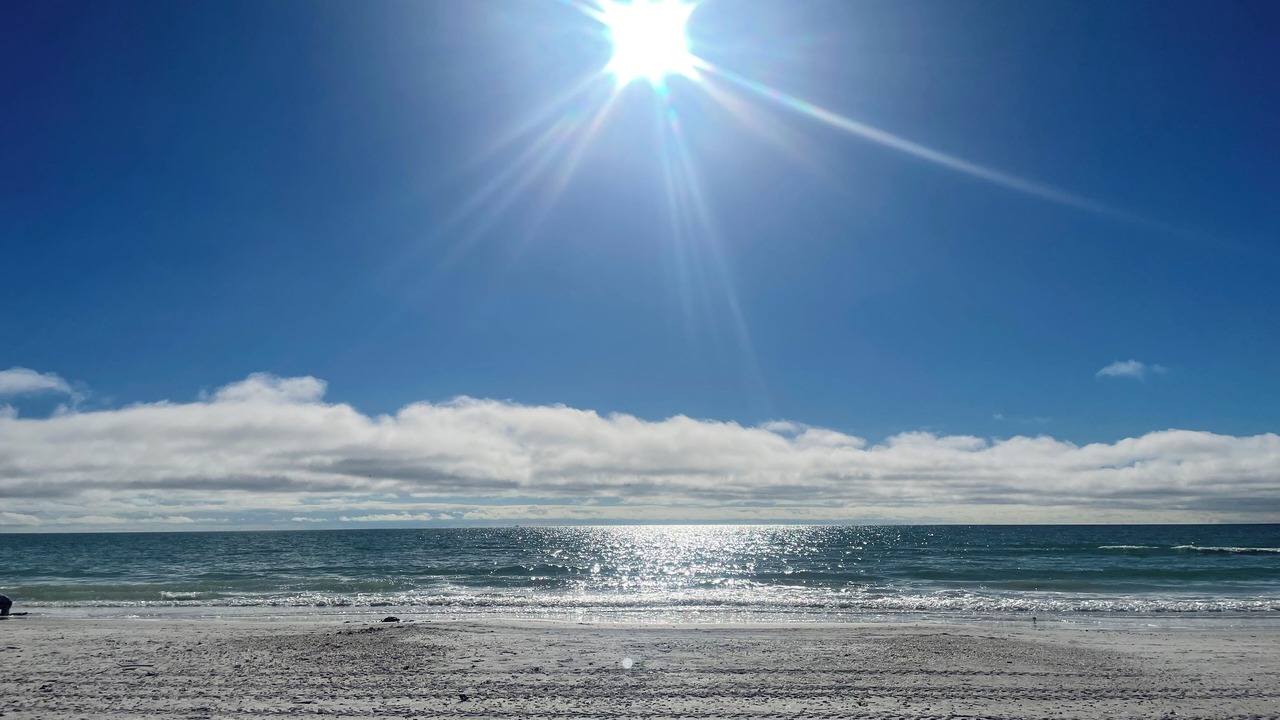 Photo of Others in Siesta Key