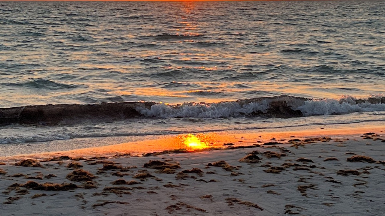 Photo of Others in Braden River