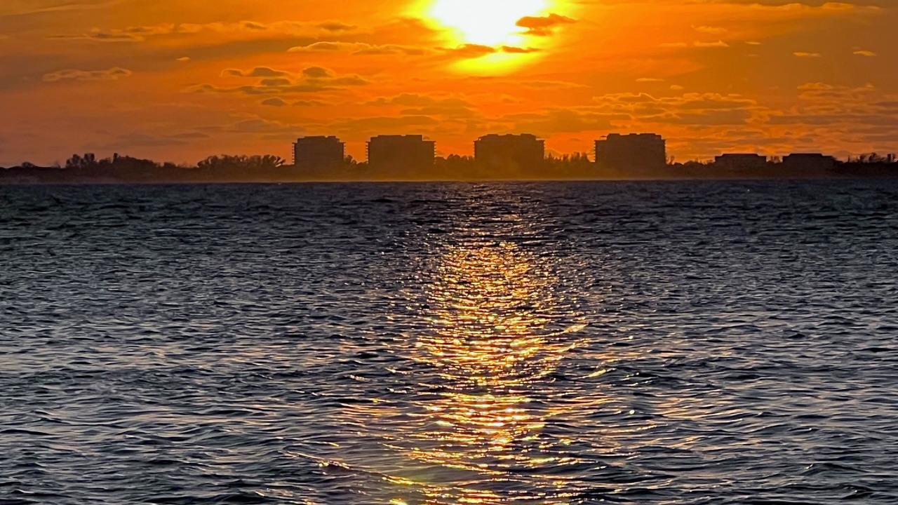 Photo of Others in Sarasota