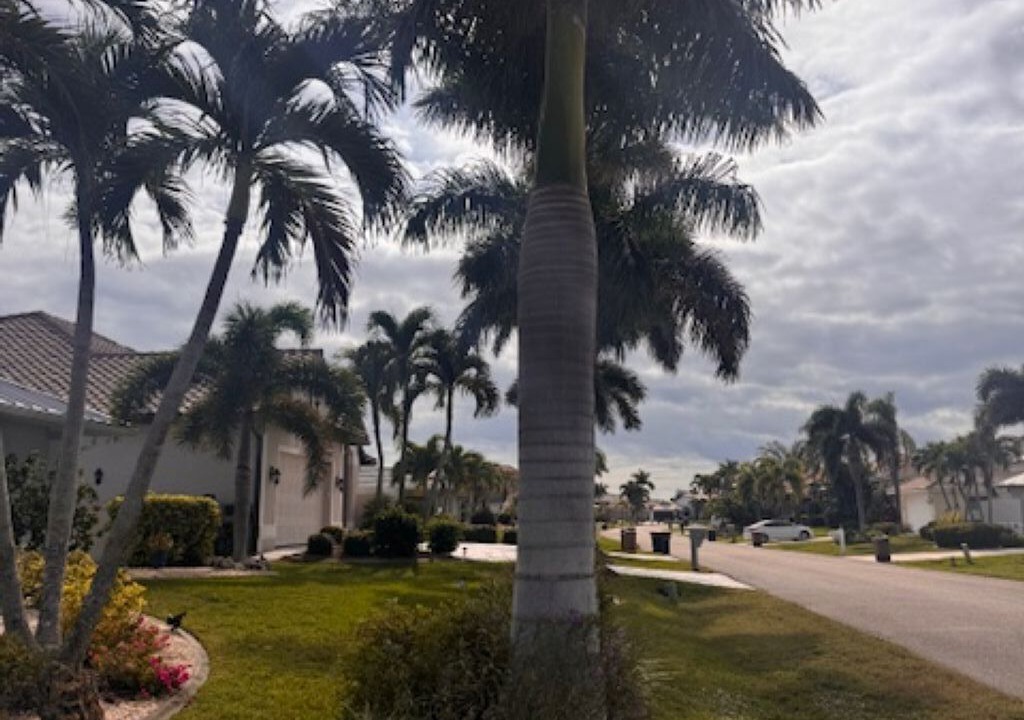 Photo of Outdoor in Punta Gorda
