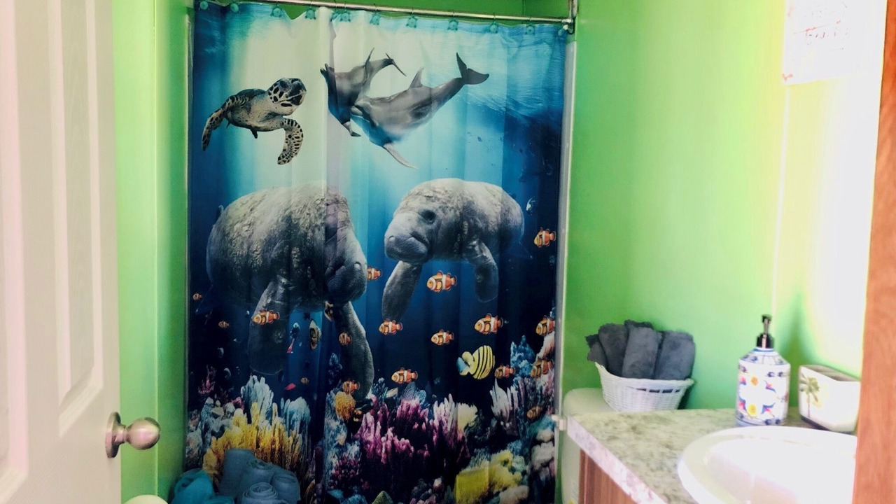 Photo of Bathroom in Flamingo Bay