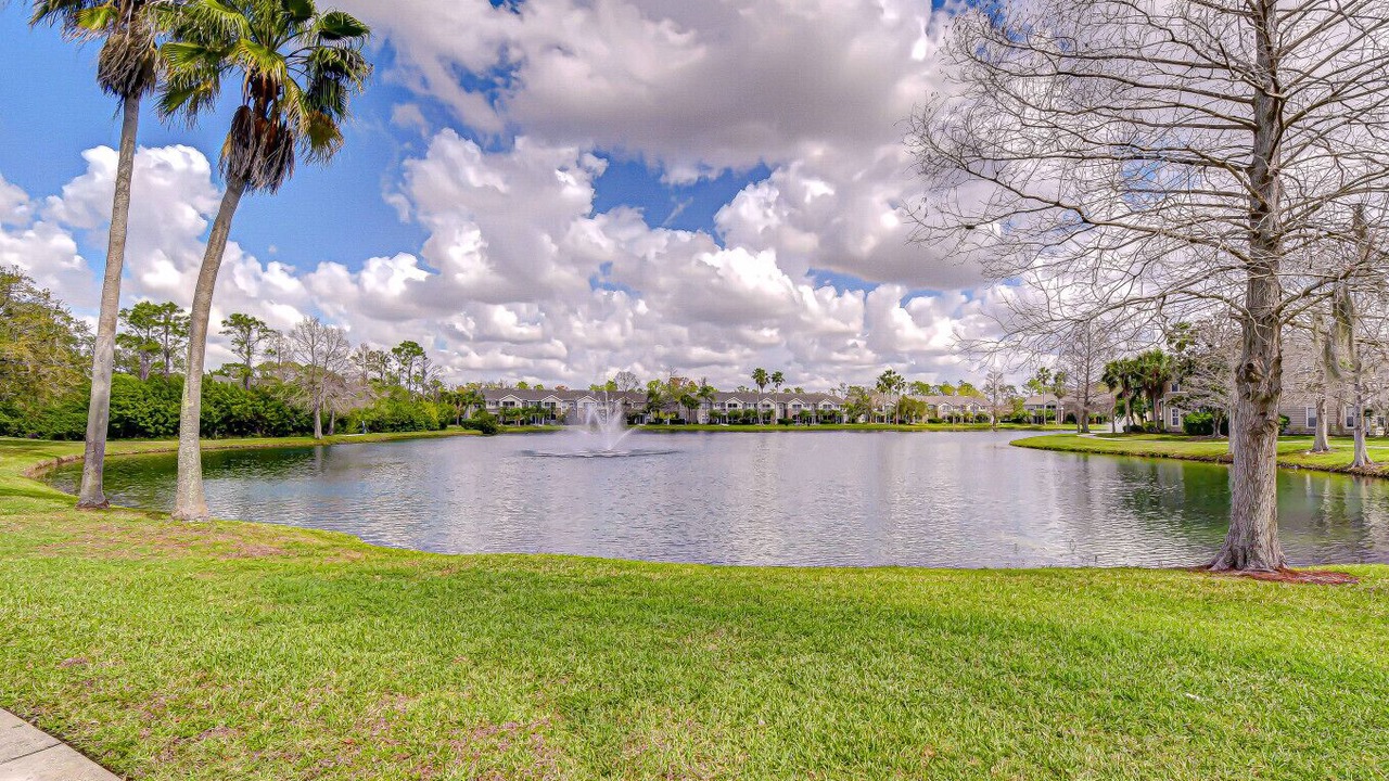 Photo of Outdoor in Braden River