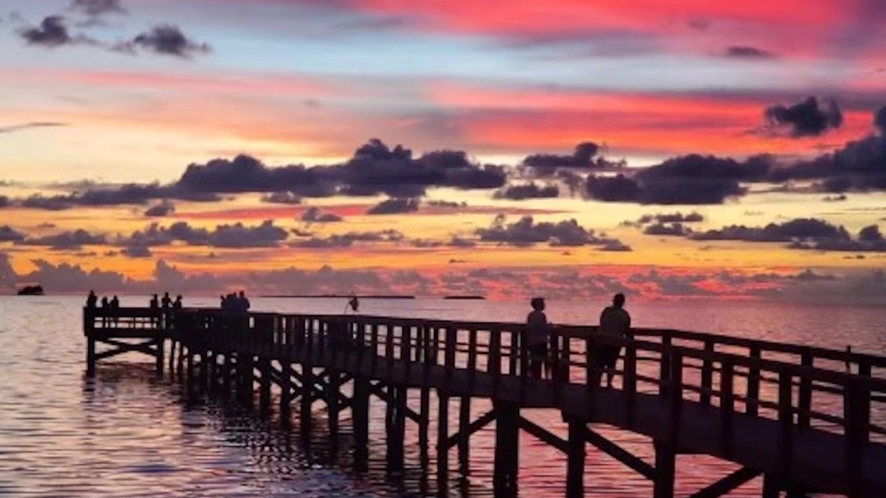 Photo of Others in Palm Harbor