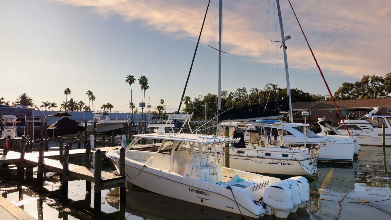 Photo of Others in Pinellas Point