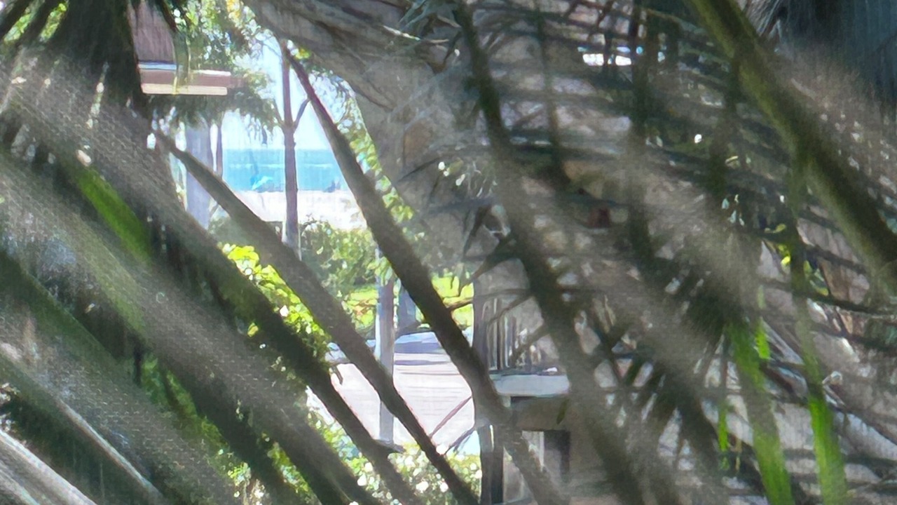 Photo of Outdoor in Marco Island