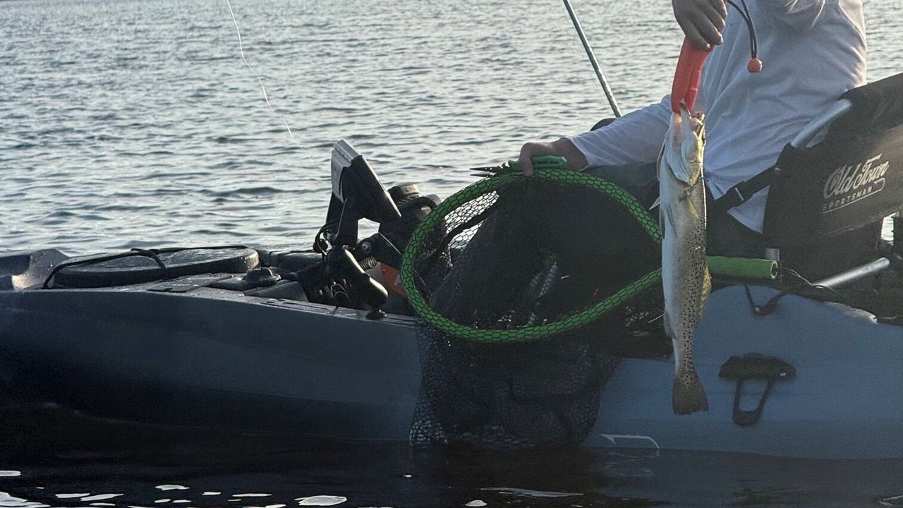 Photo of Others in Pine Island Center