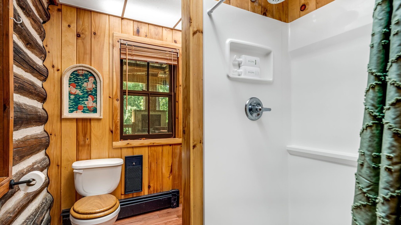 Photo of Bathroom in Saluda