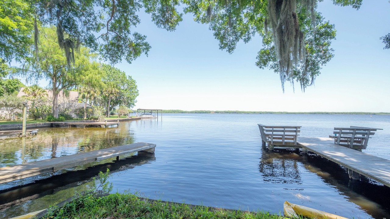 Photo of Others in Palm Harbor