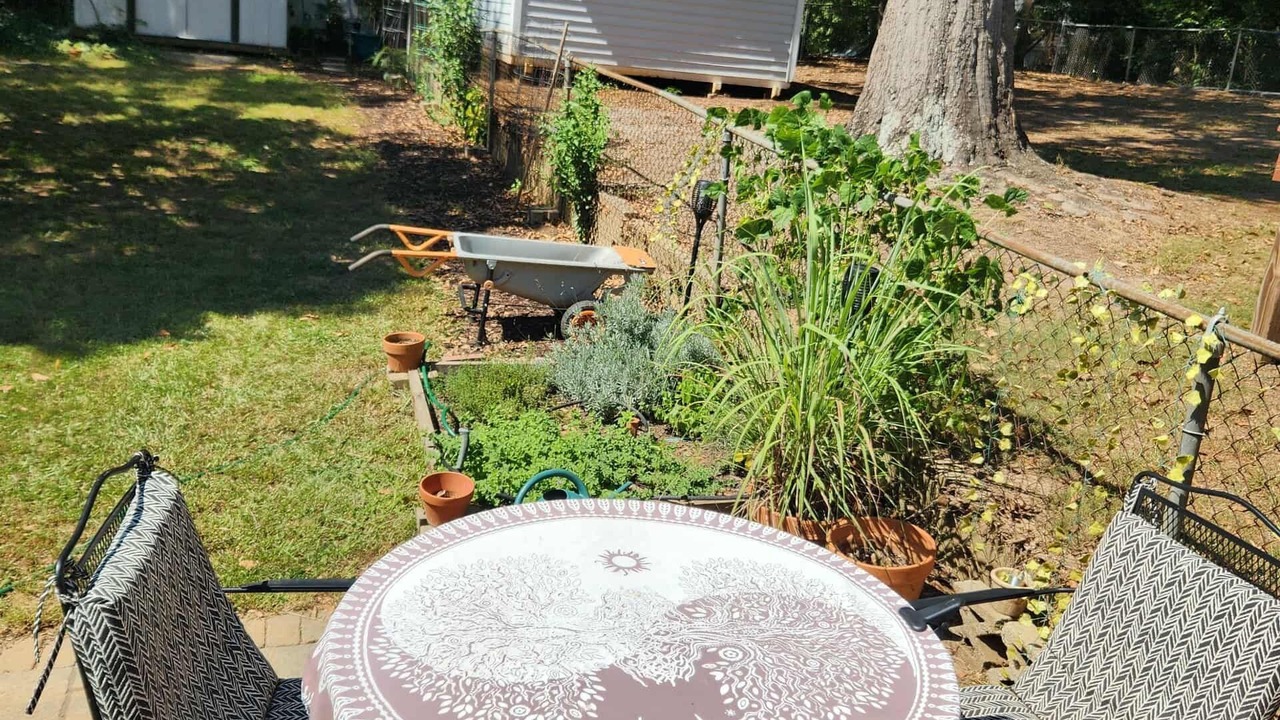 Photo of Outdoor in Greenville