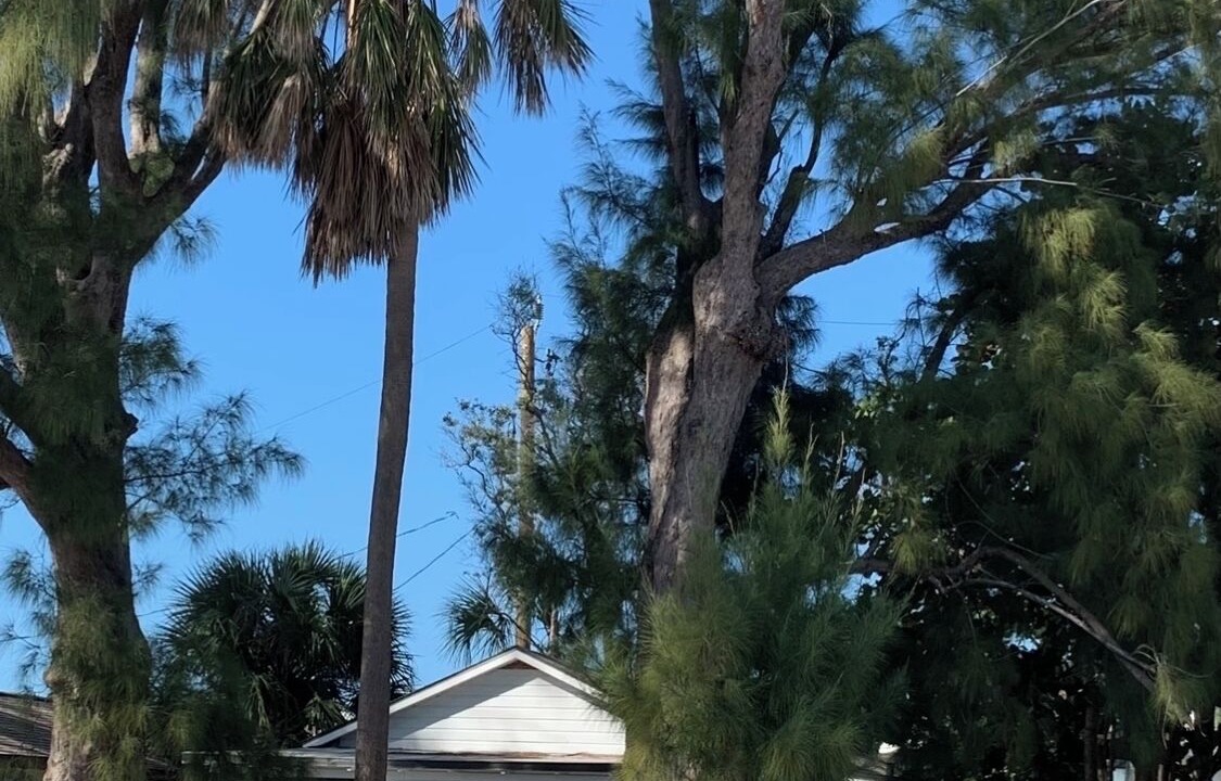 Photo of Outdoor in Bradenton Beach