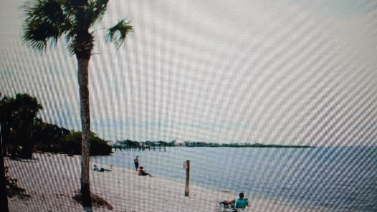 Photo of Others in Charlotte Harbor