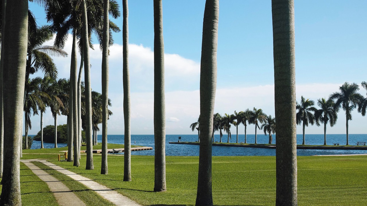 Photo of Outdoor in Palmetto Bay