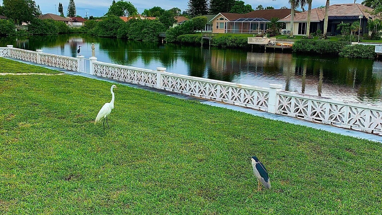 Photo of Outdoor in Warm Mineral Springs