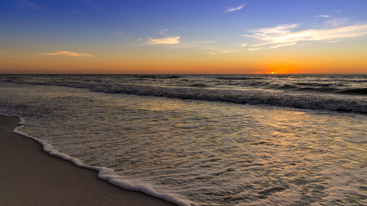 Photo of Others in Marco Island